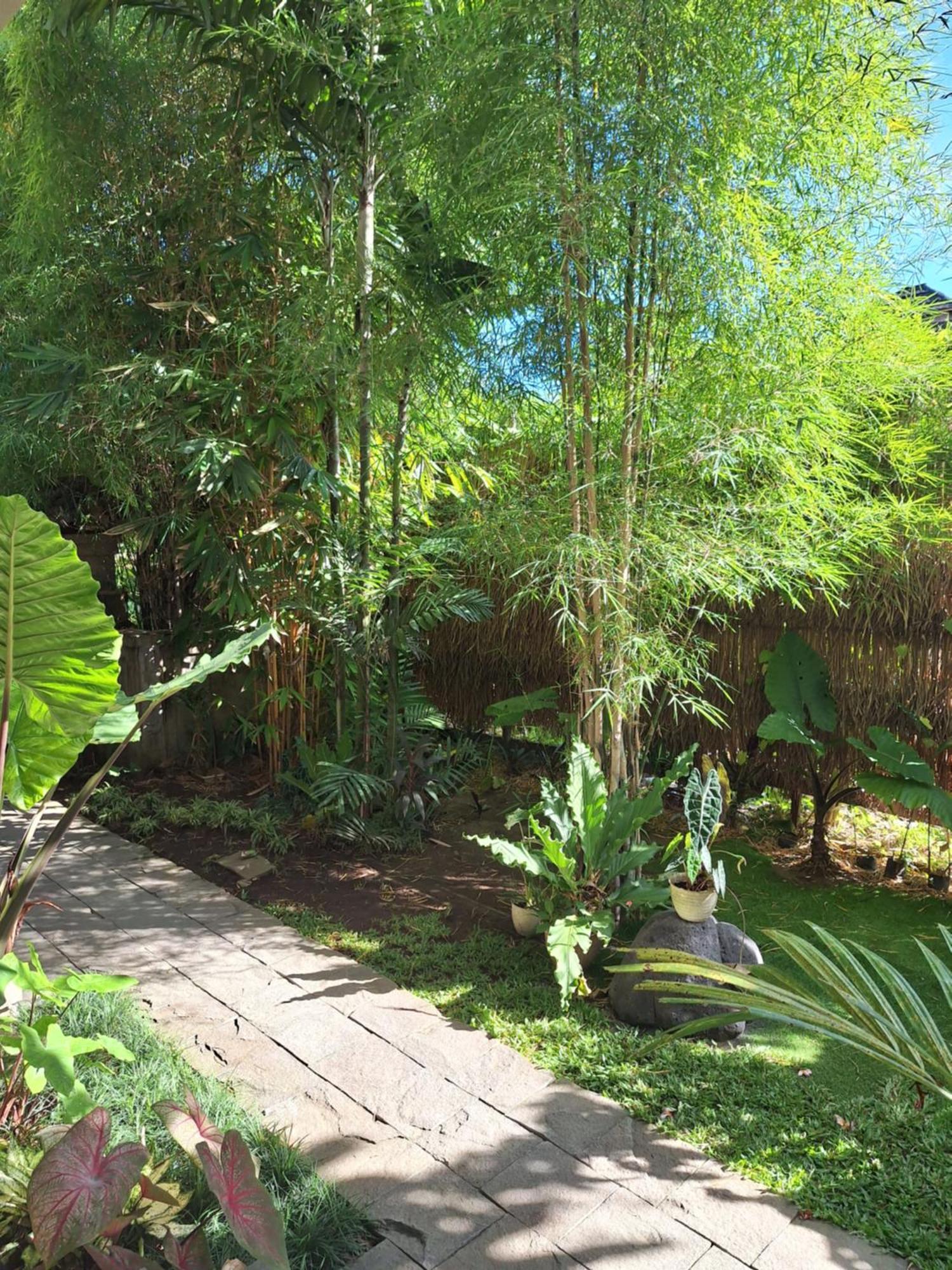 Kasapa Inn Ubud Extérieur photo
