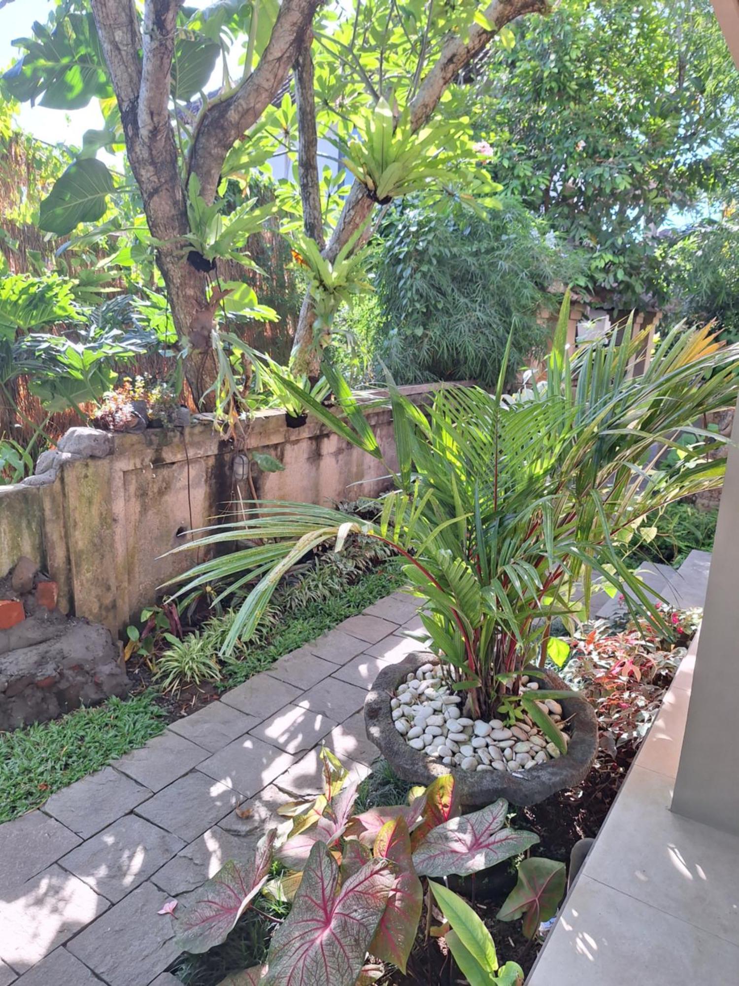 Kasapa Inn Ubud Extérieur photo