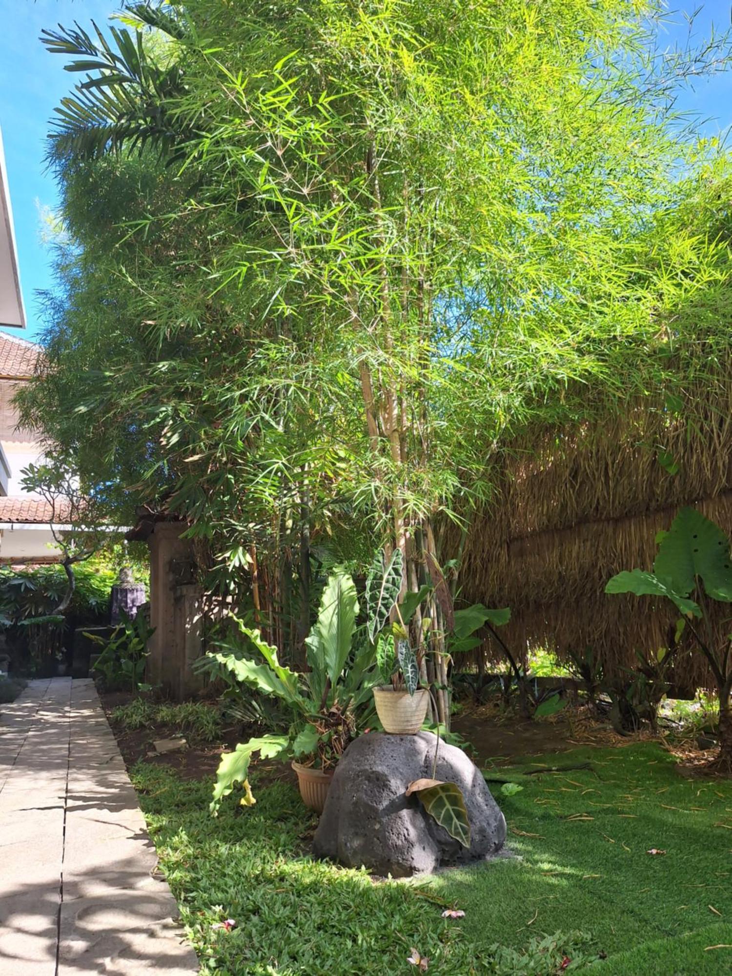 Kasapa Inn Ubud Extérieur photo