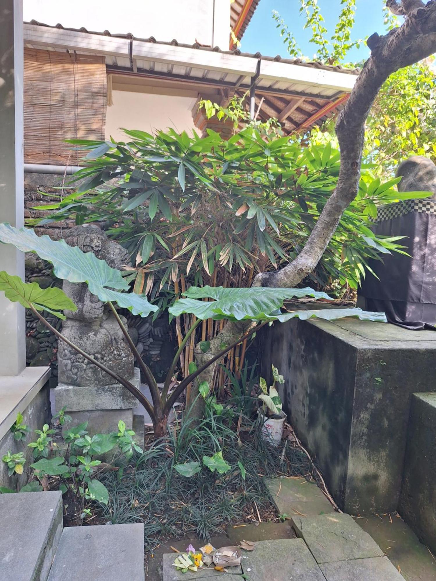 Kasapa Inn Ubud Extérieur photo