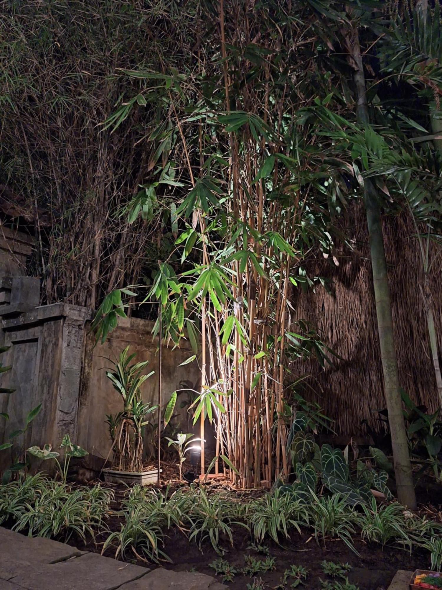Kasapa Inn Ubud Extérieur photo